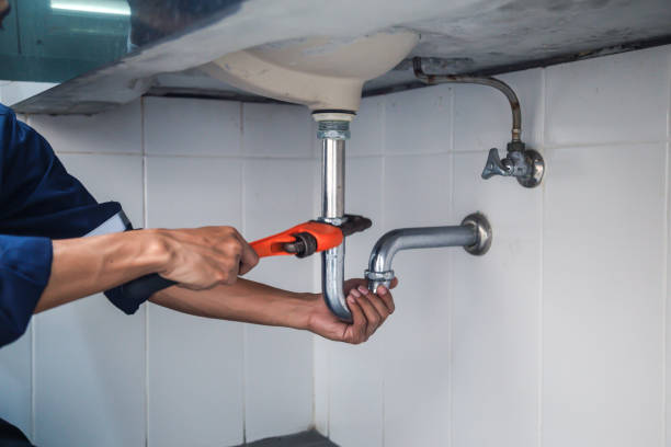 Best Residential Plumbing Services  in Ash Grove, MO
