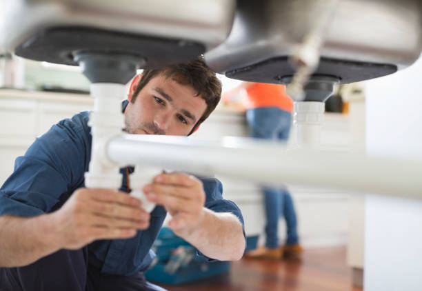 Best Plumbing Services Near Me  in Ash Grove, MO